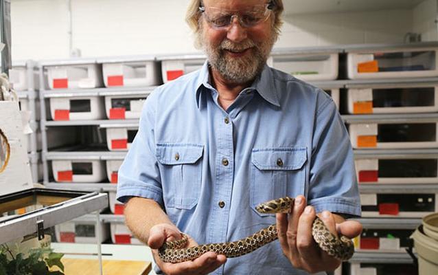 Dr. 麦克西抱着一条蛇